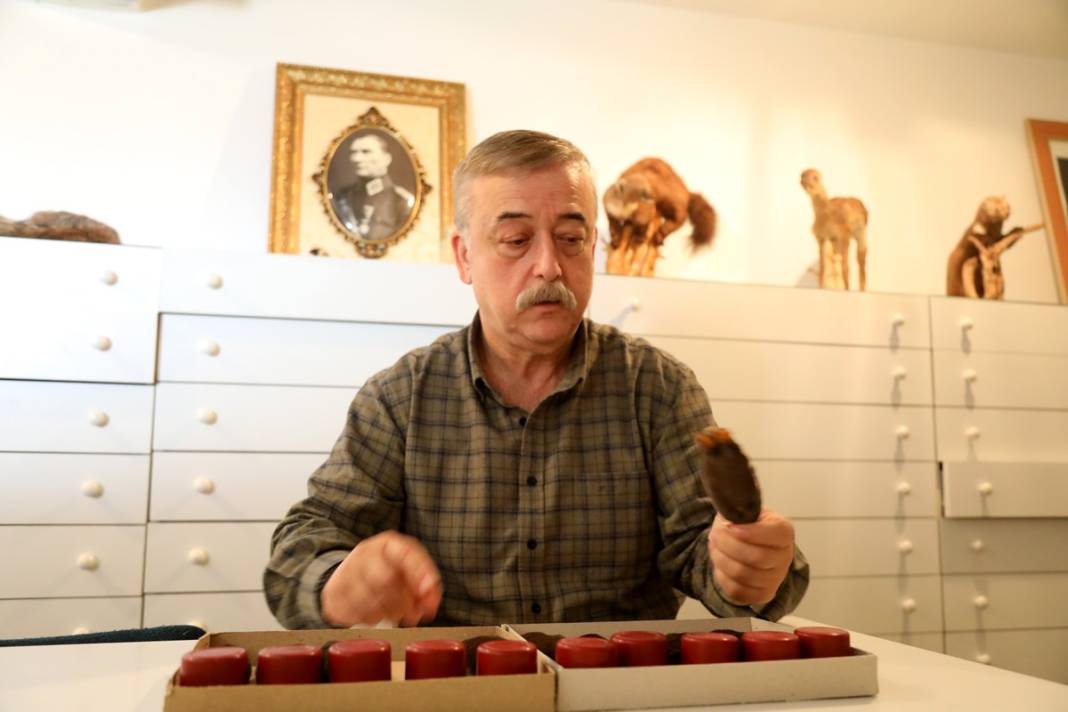 Karadeniz'de yayılmaya başladı! İlk kez yaşanıyor, yurt dışından özel ekip geldi 11